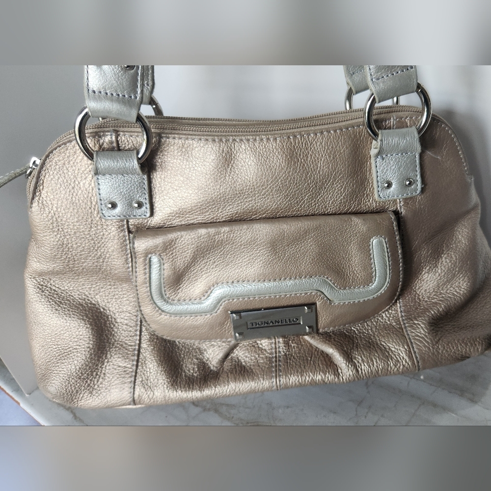 Tignanello Silver/Gold Shoulder Bag with Metallic Finish